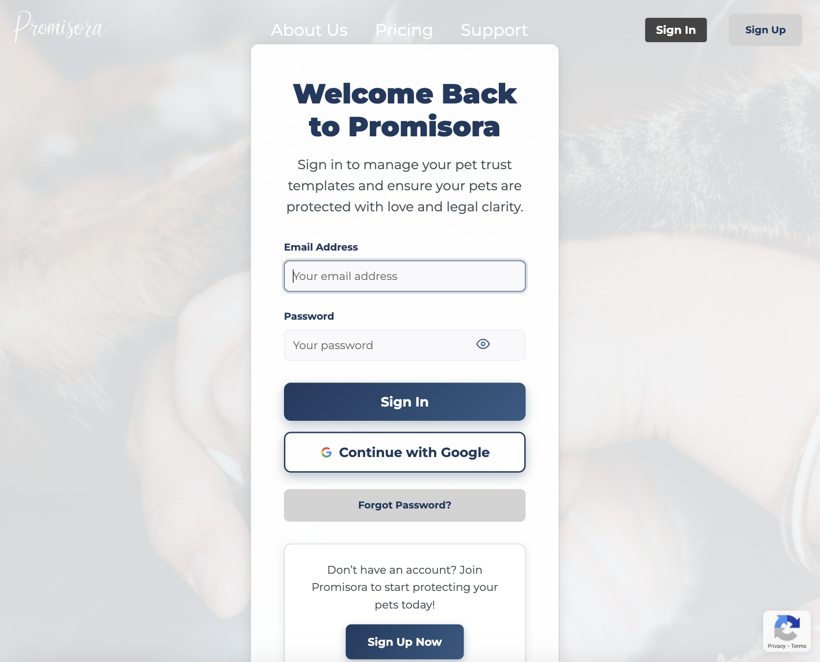 Step 1: Create and log in to your Promisora account